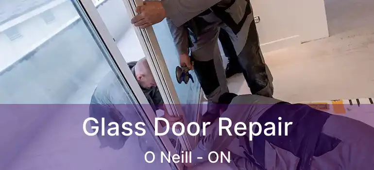  Glass Door Repair O Neill - ON