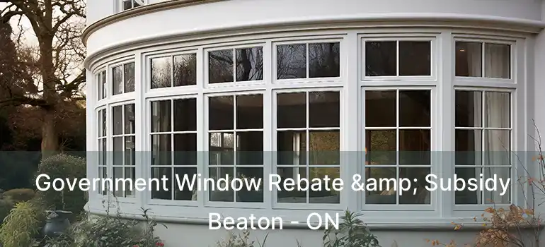  Government Window Rebate & Subsidy Beaton - ON