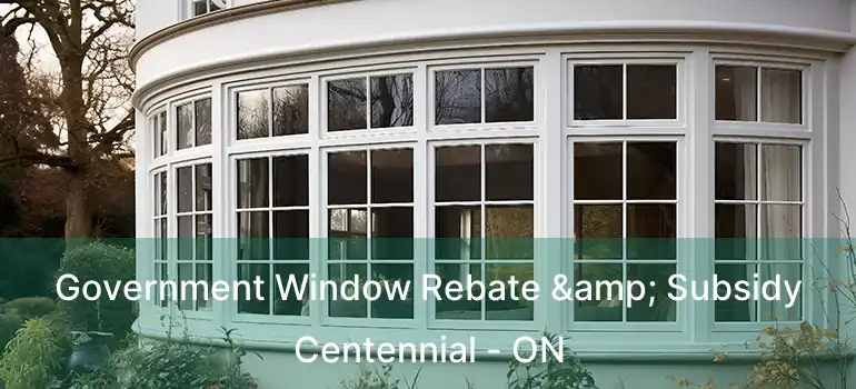  Government Window Rebate & Subsidy Centennial - ON