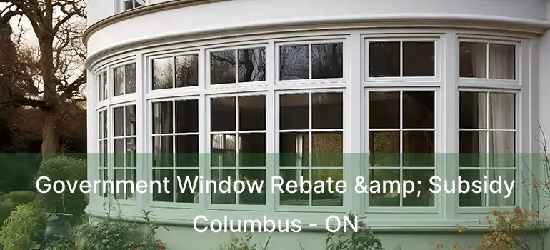  Government Window Rebate & Subsidy Columbus - ON