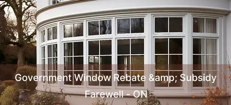  Government Window Rebate & Subsidy Farewell - ON