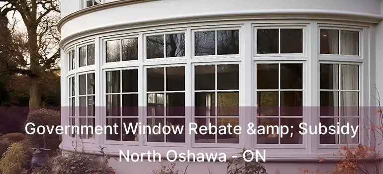  Government Window Rebate & Subsidy North Oshawa - ON