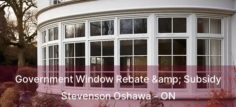  Government Window Rebate & Subsidy Stevenson Oshawa - ON