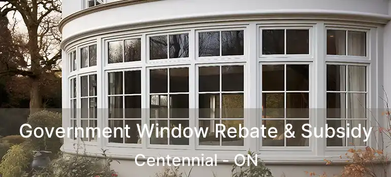  Government Window Rebate & Subsidy Centennial - ON