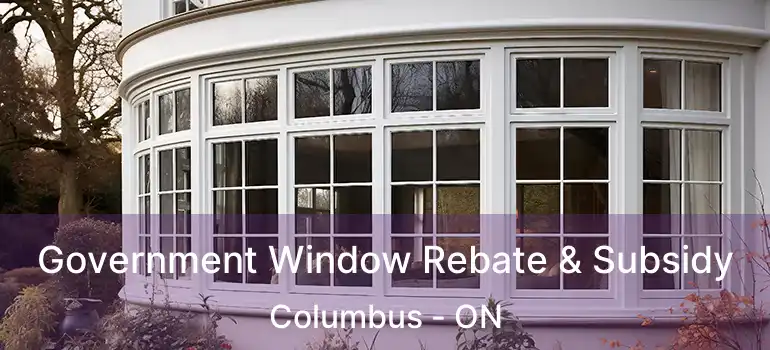  Government Window Rebate & Subsidy Columbus - ON