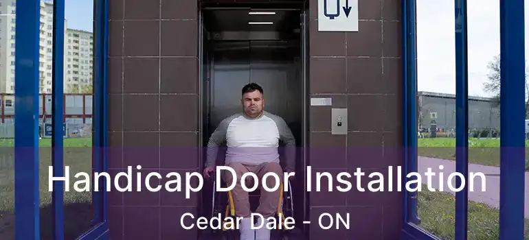  Handicap Door Installation Cedar Dale - ON