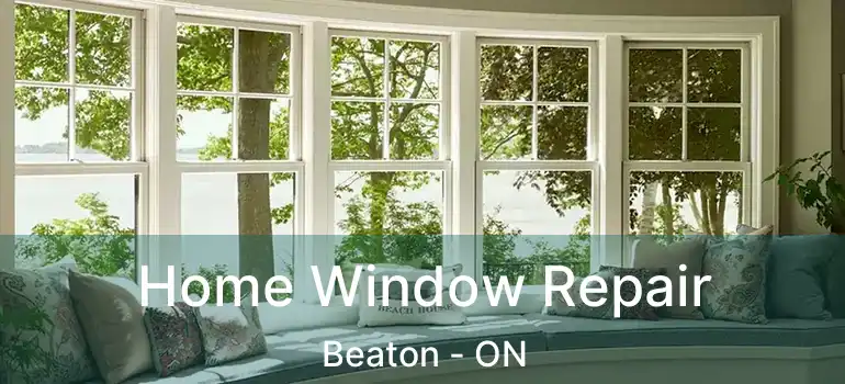  Home Window Repair Beaton - ON