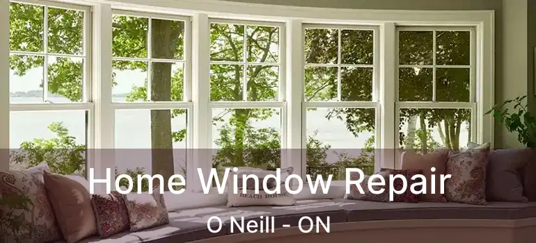  Home Window Repair O Neill - ON