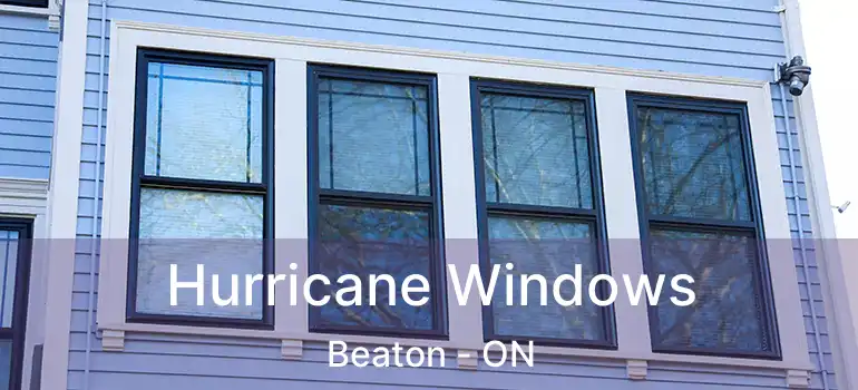  Hurricane Windows Beaton - ON