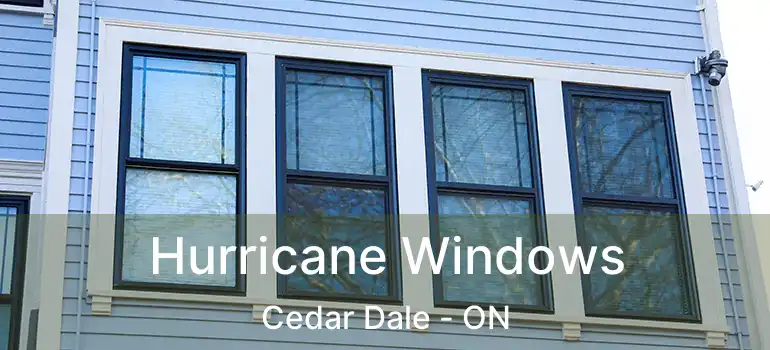  Hurricane Windows Cedar Dale - ON