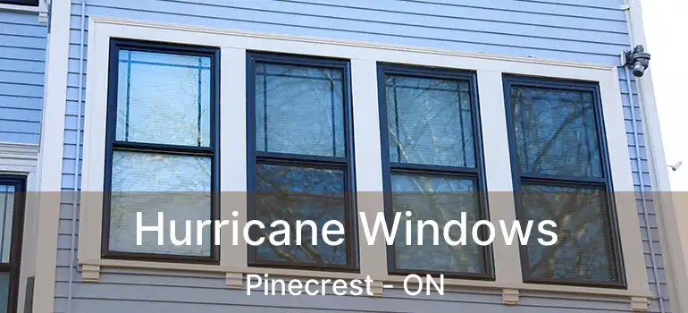  Hurricane Windows Pinecrest - ON