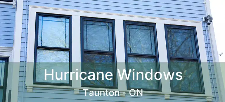  Hurricane Windows Taunton - ON