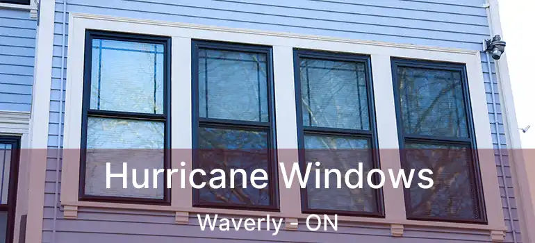  Hurricane Windows Waverly - ON