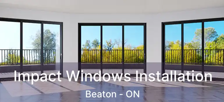  Impact Windows Installation Beaton - ON