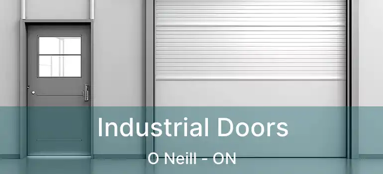  Industrial Doors O Neill - ON