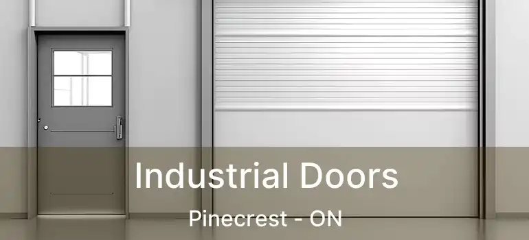  Industrial Doors Pinecrest - ON