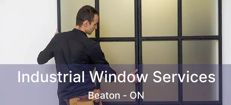  Industrial Window Services Beaton - ON