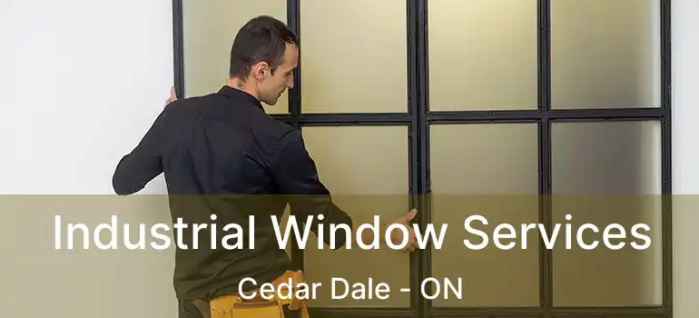  Industrial Window Services Cedar Dale - ON