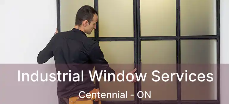  Industrial Window Services Centennial - ON