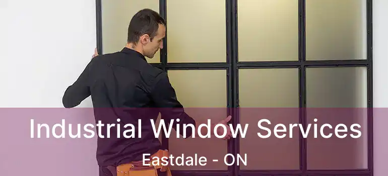  Industrial Window Services Eastdale - ON