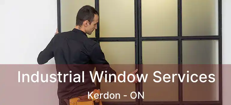  Industrial Window Services Kerdon - ON