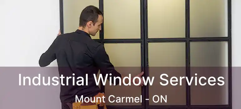  Industrial Window Services Mount Carmel - ON