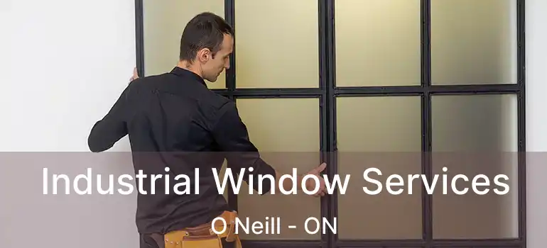  Industrial Window Services O Neill - ON