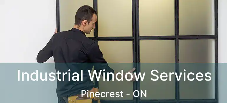  Industrial Window Services Pinecrest - ON