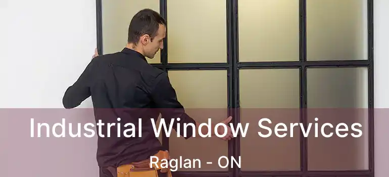  Industrial Window Services Raglan - ON