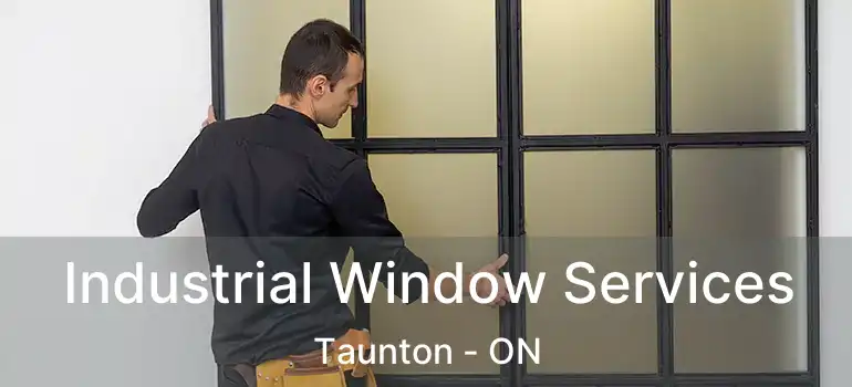  Industrial Window Services Taunton - ON