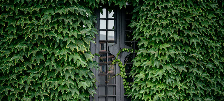 Garden Gate Repair in Oshawa, ON