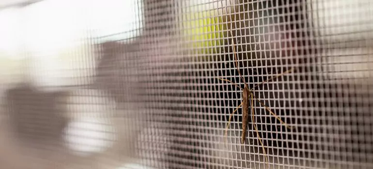 Repair Mosquito Mesh For Windows in Oshawa, Ontario