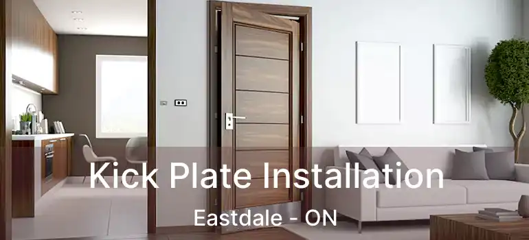  Kick Plate Installation Eastdale - ON