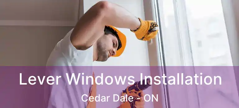  Lever Windows Installation Cedar Dale - ON