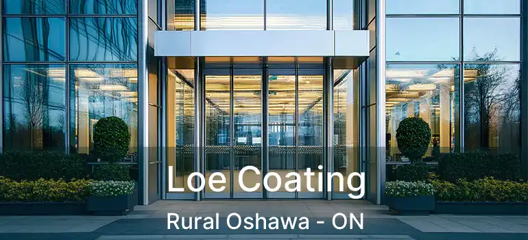  Loe Coating Rural Oshawa - ON