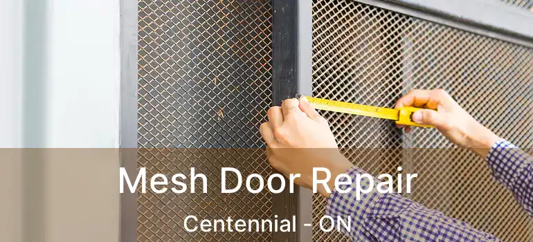  Mesh Door Repair Centennial - ON