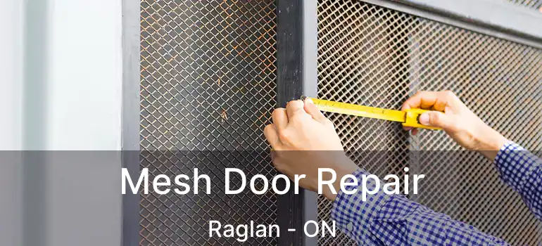  Mesh Door Repair Raglan - ON