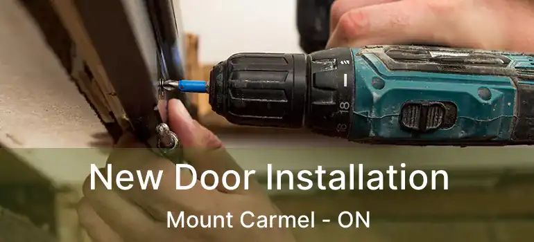  New Door Installation Mount Carmel - ON