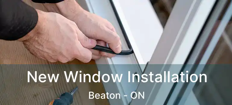  New Window Installation Beaton - ON