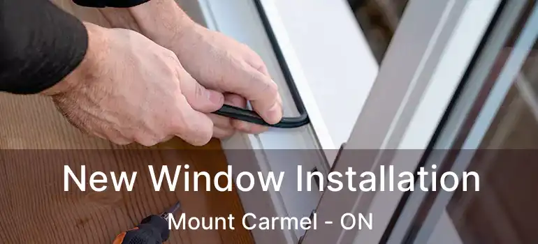  New Window Installation Mount Carmel - ON