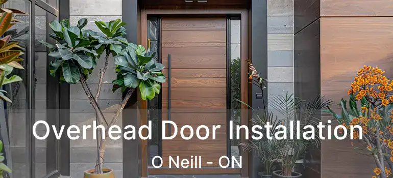  Overhead Door Installation O Neill - ON