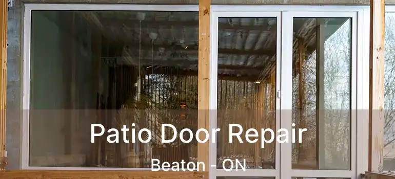  Patio Door Repair Beaton - ON