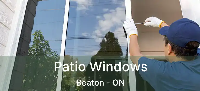  Patio Windows Beaton - ON