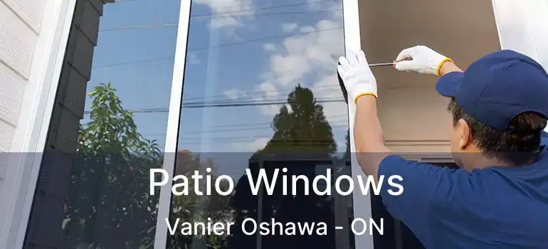  Patio Windows Vanier Oshawa - ON