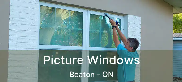  Picture Windows Beaton - ON