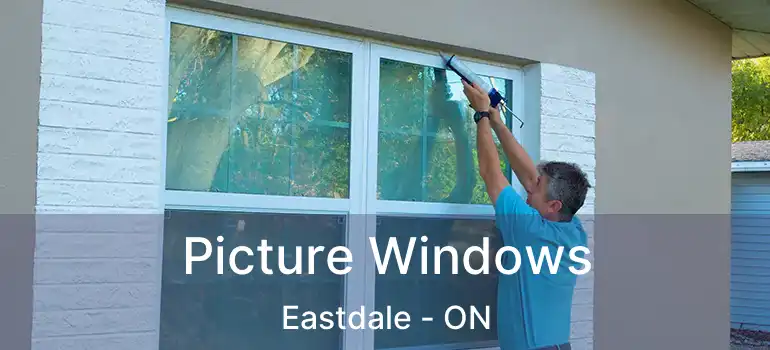  Picture Windows Eastdale - ON