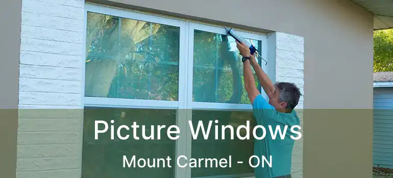  Picture Windows Mount Carmel - ON