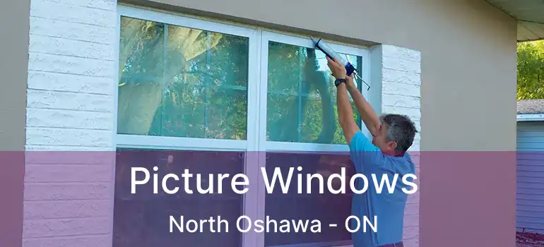  Picture Windows North Oshawa - ON