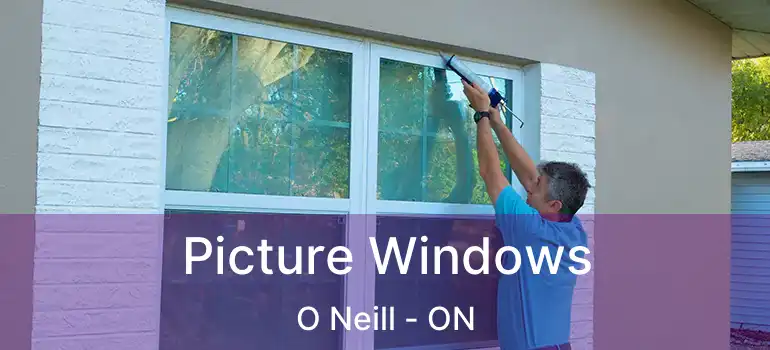  Picture Windows O Neill - ON