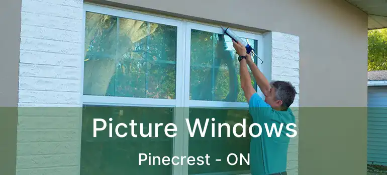  Picture Windows Pinecrest - ON